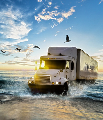 Tradex USA Logistics — Transportation Management System